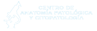 Canvas Logo