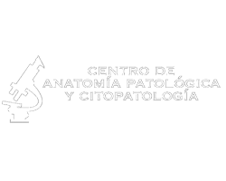 Canvas Logo